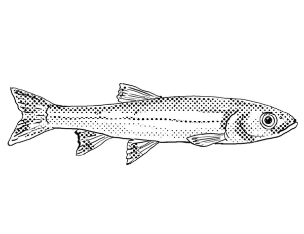 ウォーペイント シナーやルクシルス コココゲニスの漫画風の線画は 黒と白で隔絶された背景にハーフトーン ドット シェーディングが施された北米固有の淡水魚です — ストック写真