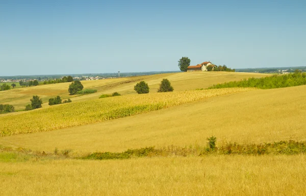 Strada nei campi — Foto Stock