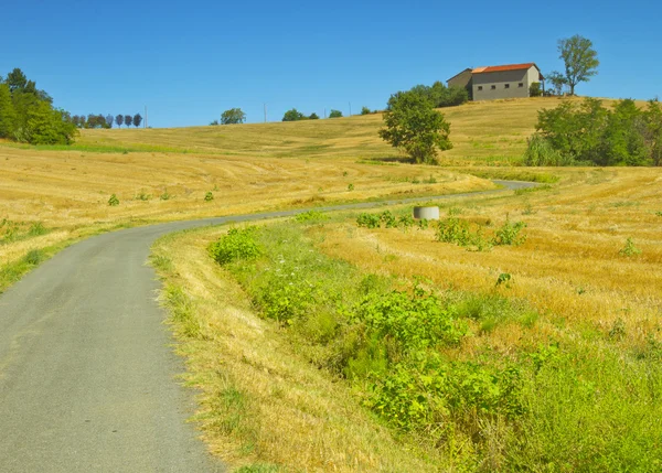 Tarlalarda yol — Stok fotoğraf