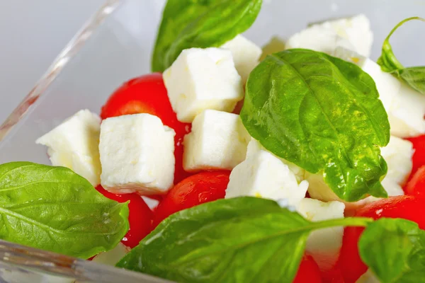 Salad — Stock Photo, Image