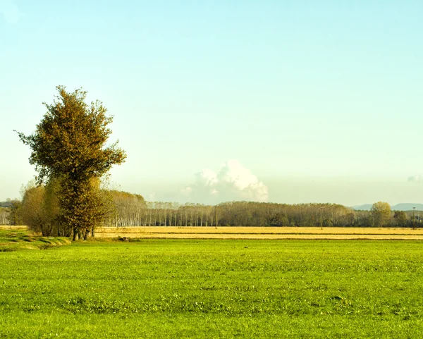 Väg på fälten — Stockfoto