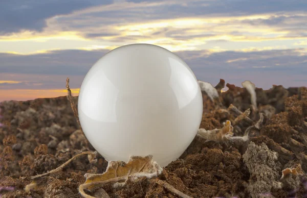 Bulb — Stock Photo, Image