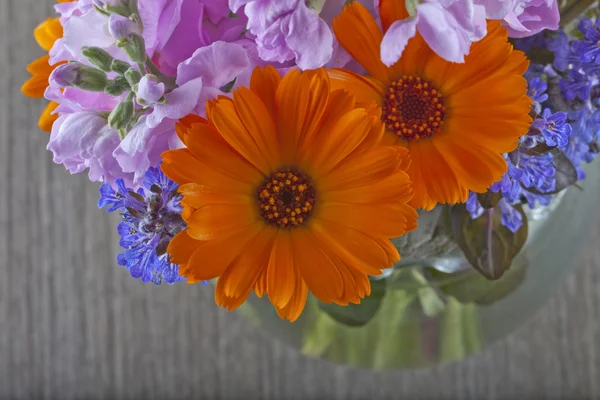 Flores — Foto de Stock