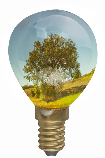 Bulb — Stock Photo, Image