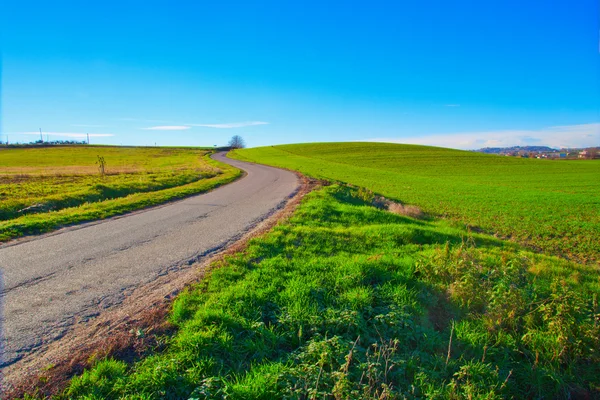 Landschap — Stockfoto