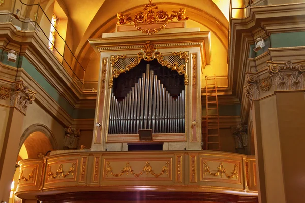 Organ — Stock Photo, Image