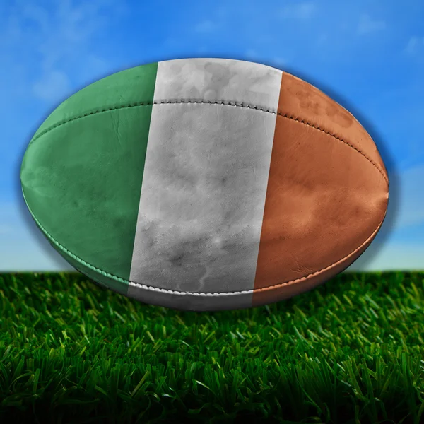 Ireland Rugby — Stock Photo, Image