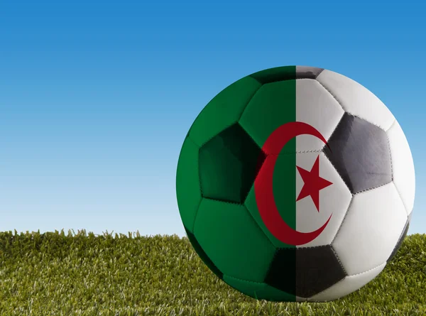 Algeria football — Stock Photo, Image