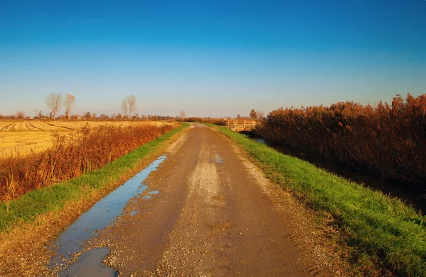 Road in the country — Stock Photo, Image