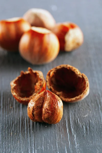 Hazelnuts — Stock fotografie