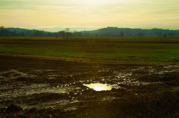 Fields — Stock Photo, Image