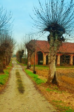 Kırsalda yol