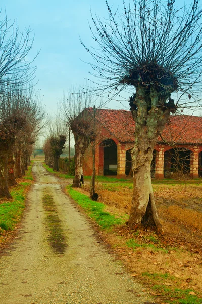 Camino en el campo —  Fotos de Stock