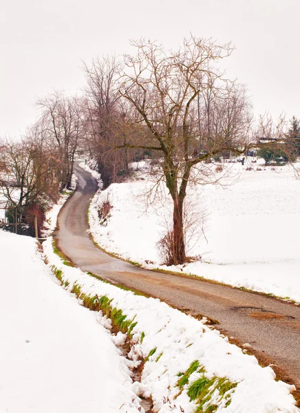 Strada nella neve — Foto Stock