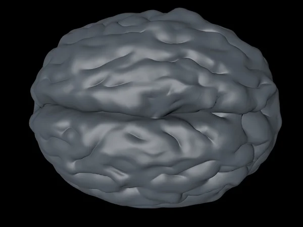 Мозок — стокове фото