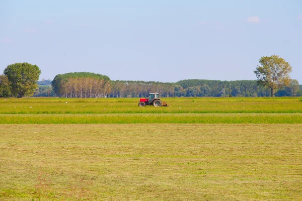 Tractor — Foto de Stock