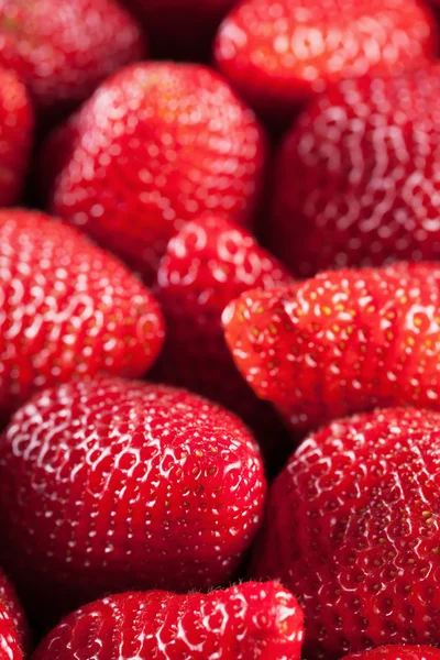 Erdbeeren — Stockfoto