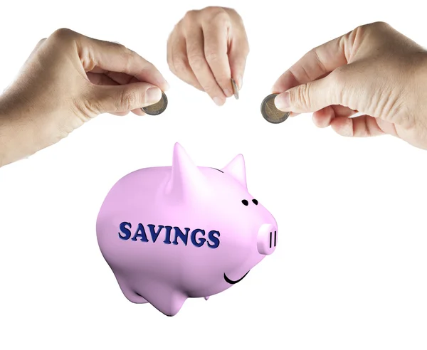 Savings — Stock Photo, Image