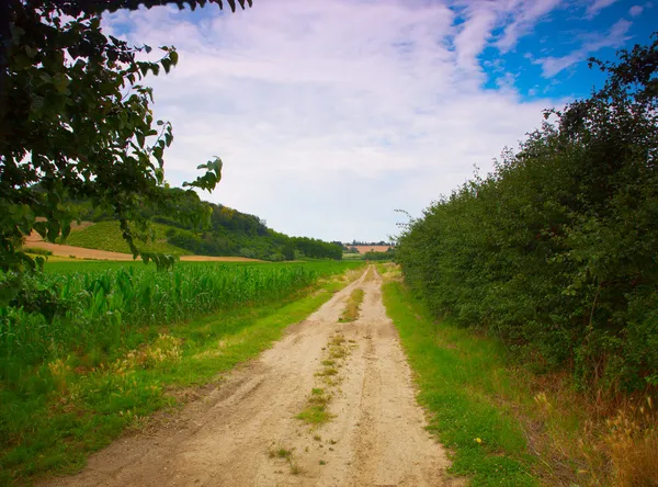 Road — Stock Photo, Image