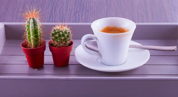 Coffee and cactus — Stock Photo, Image