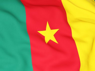 Flag of cameroon