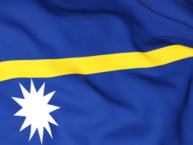 nauru Cumhuriyeti bayrağı