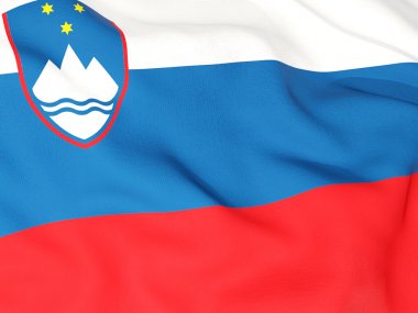 Slovenya Cumhuriyeti bayrağı