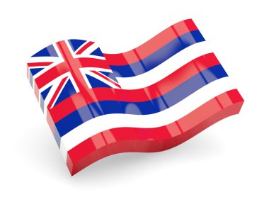 Hawaii dalgalı simgesi
