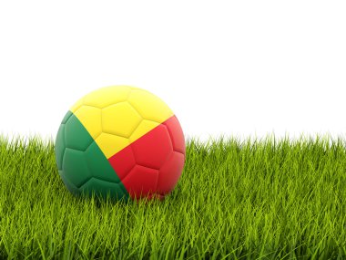 benin bayrağı ile futbol