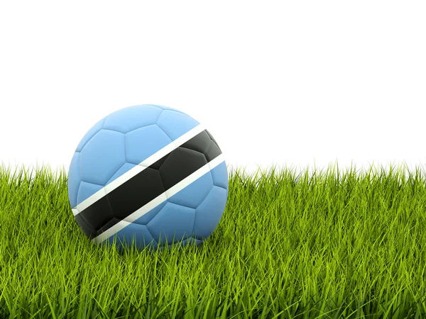 Fútbol con bandera de botswana — Foto de Stock