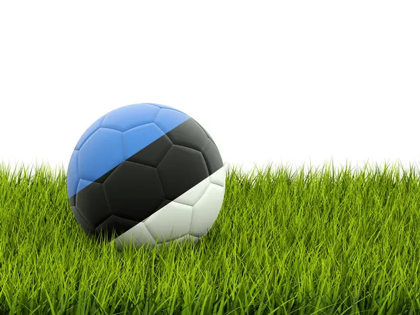 Football with flag of estonia — Stock Photo, Image