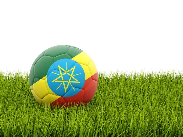 Fútbol con bandera de ethiopia — Foto de Stock