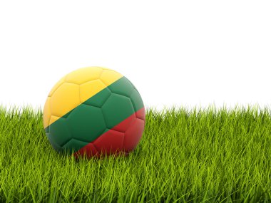 Futbol Litvanya bayrağı ile