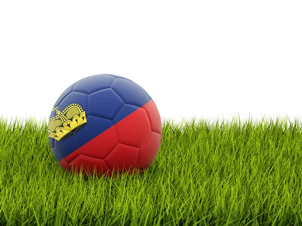 Футбол с флагом Лихтенштейна — стоковое фото