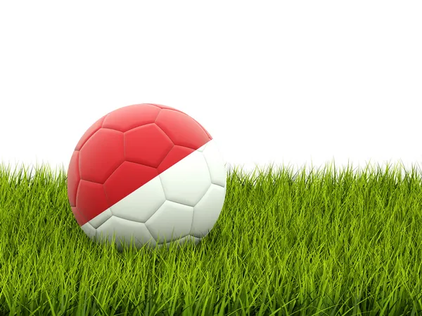 Voetbal met vlag van monaco — Stockfoto