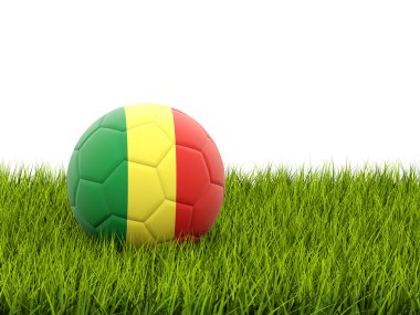 Kongo Cumhuriyeti bayrağı ile futbol
