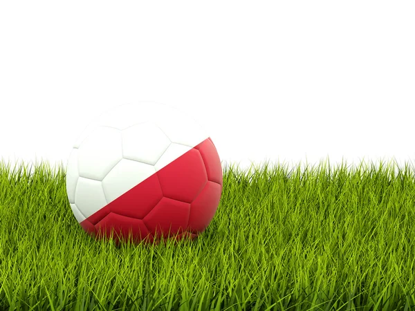 Futebol com bandeira de polônia — Fotografia de Stock