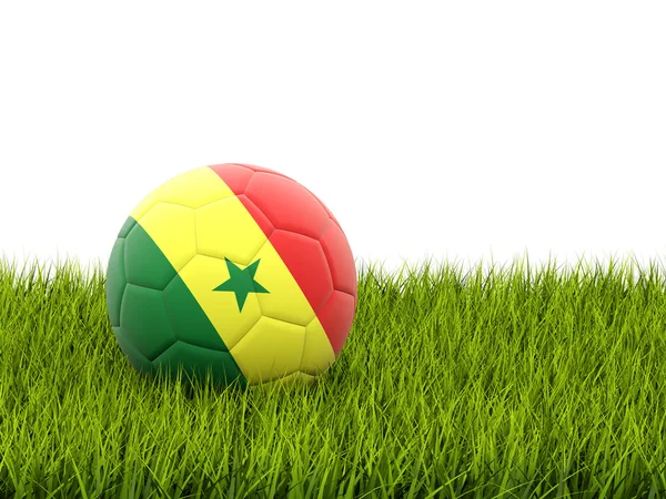 Voetbal met vlag van senegal — Stockfoto