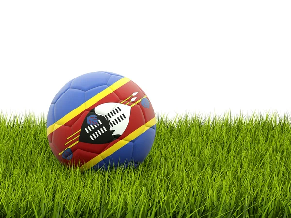 Calcio con bandiera dello Swaziland — Foto Stock