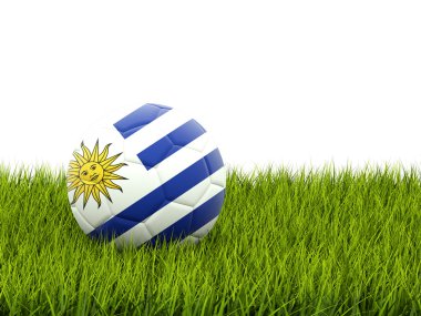 futbol ile uruguay bayrağı
