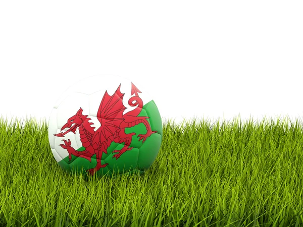 Fußball mit wales-flagge — Stockfoto