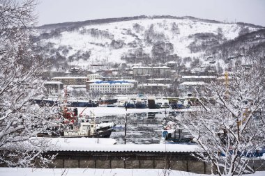 Petropavlovsk Kamçatsky şehri kışın karlı havada. Kamçatka Yarımadası, Rusya