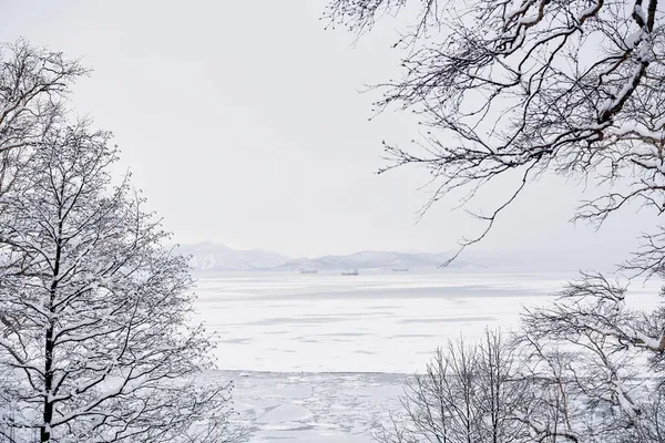 Зимний Пейзаж Авачинской Бухты Снежные Горы Ледяной Океан Снежную Погоду — стоковое фото