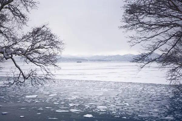 Зимний Пейзаж Авачинской Бухты Снежные Горы Океан Льдом Снежную Погоду — стоковое фото