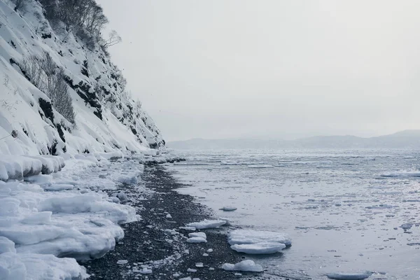 Avacha湾冬季景观 多雪的高山和大海 在多雪的天气里 冰上飘浮着 俄罗斯堪察加半岛 — 图库照片