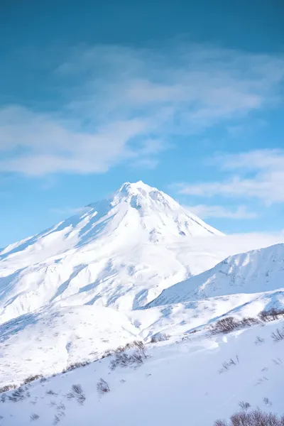冬季风景 维柳钦斯基火山被白雪覆盖在蓝天之上 俄罗斯堪察加半岛 — 图库照片