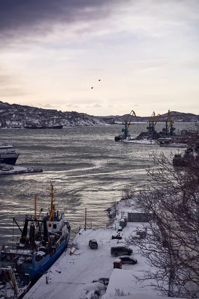 Петропавловск Камчатский Зимой Вид Залив — стоковое фото