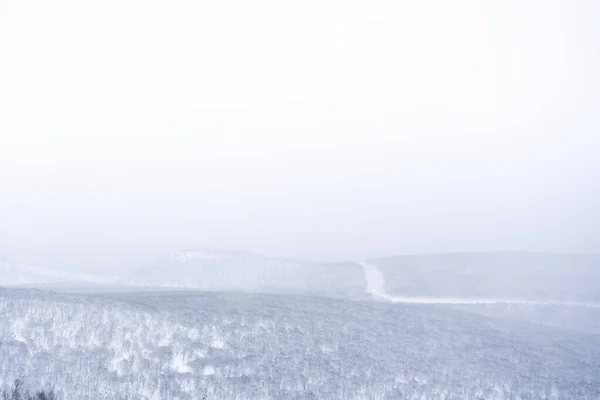 多雪天气下的冬季风景 俄罗斯堪察加半岛 免版税图库照片