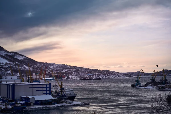 彼得罗巴甫洛夫斯克堪察加茨基市在冬季 从海湾看 免版税图库照片