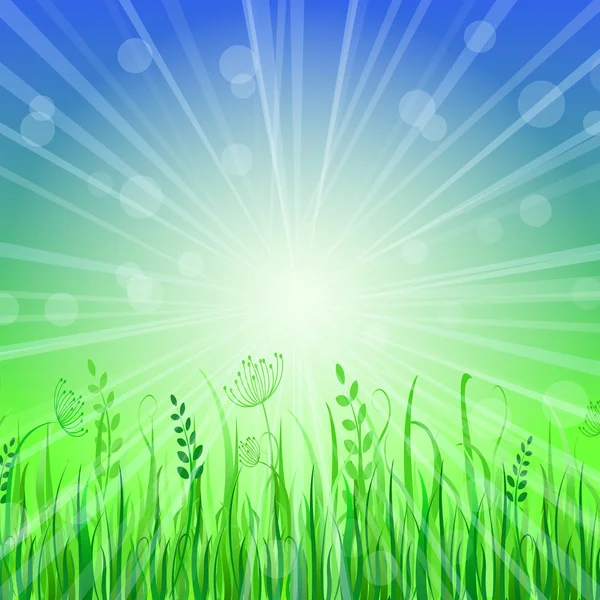 Green Grass Background over Blue Sky — Stock Vector